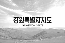 강원특별자치도 로고